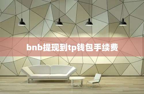 bnb提现到tp钱包手续费