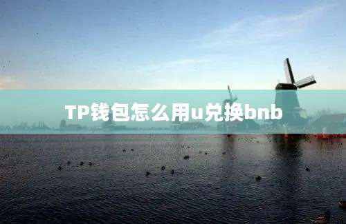 TP钱包怎么用u兑换bnb