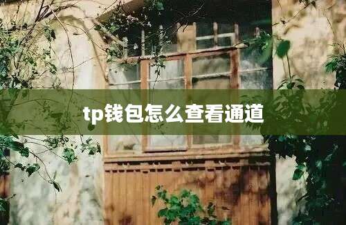 tp钱包怎么查看通道