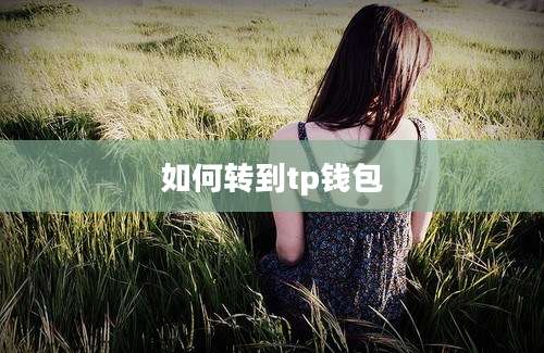 如何转到tp钱包