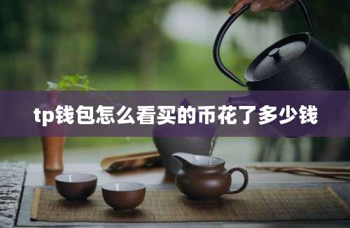 tp钱包怎么看买的币花了多少钱