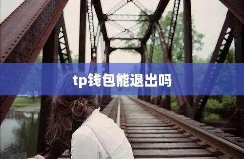 tp钱包能退出吗