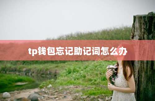 tp钱包忘记助记词怎么办