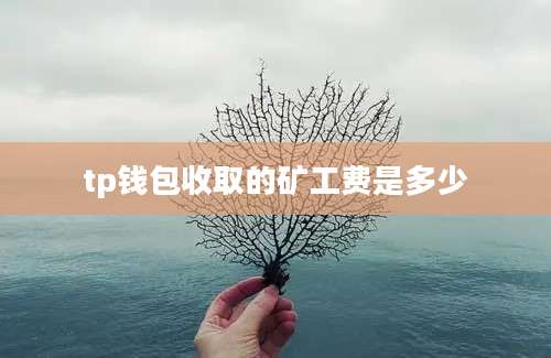 tp钱包收取的矿工费是多少