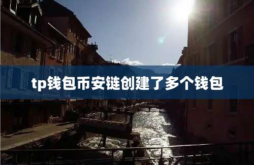 tp钱包币安链创建了多个钱包