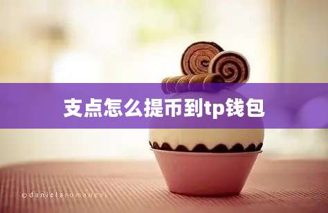 支点怎么提币到tp钱包