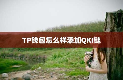 TP钱包怎么样添加QKI链