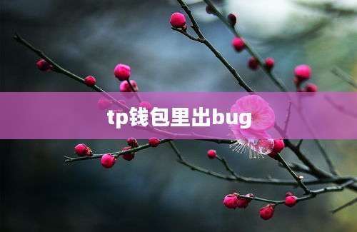 tp钱包里出bug