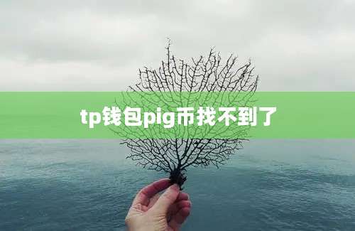 tp钱包pig币找不到了