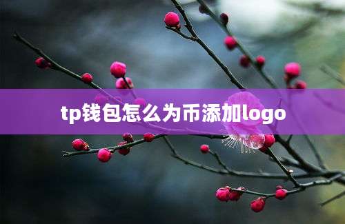 tp钱包怎么为币添加logo