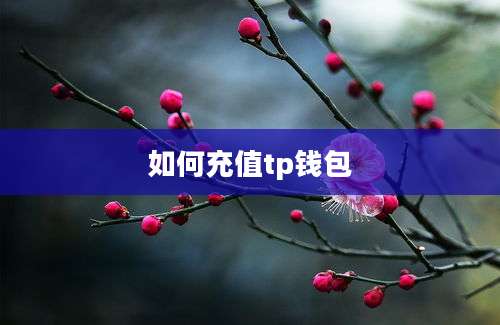 如何充值tp钱包