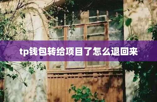 tp钱包转给项目了怎么退回来