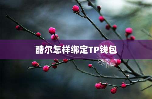 酷尔怎样绑定TP钱包