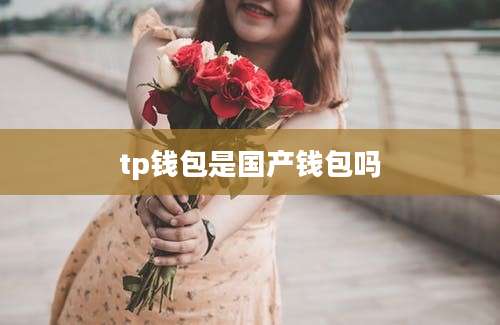 tp钱包是国产钱包吗