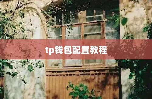 tp钱包配置教程