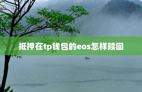 抵押在tp钱包的eos怎样赎回