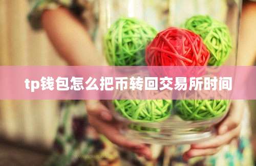 tp钱包怎么把币转回交易所时间