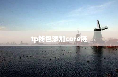 tp钱包添加core链