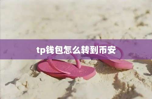 tp钱包怎么转到币安