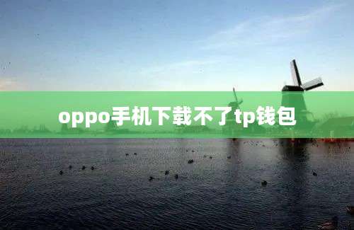oppo手机下载不了tp钱包