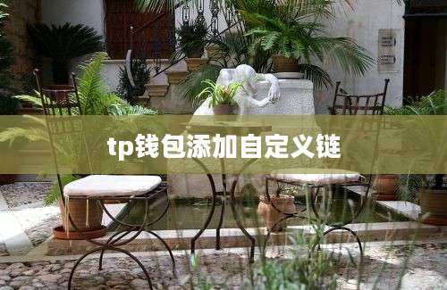 tp钱包添加自定义链