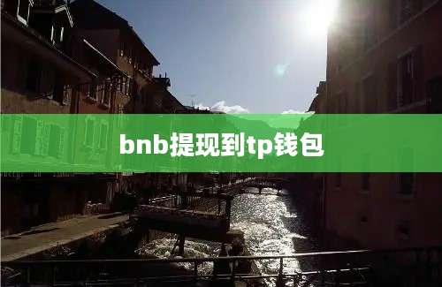 bnb提现到tp钱包