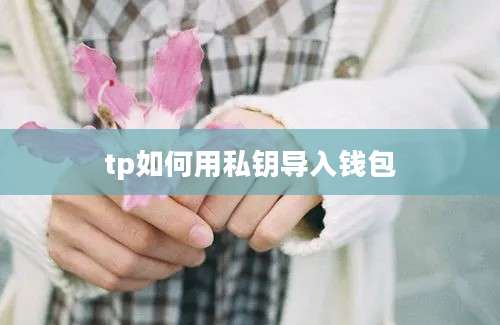 tp如何用私钥导入钱包