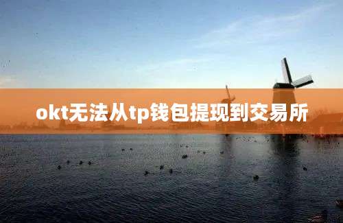 okt无法从tp钱包提现到交易所