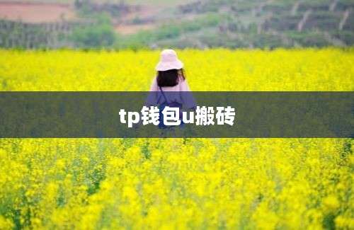 tp钱包u搬砖