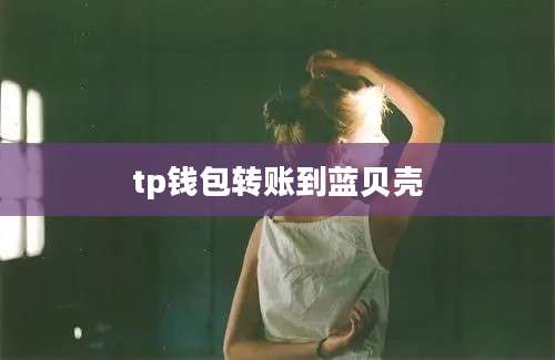 tp钱包转账到蓝贝壳