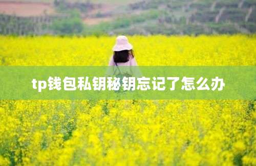 tp钱包私钥秘钥忘记了怎么办