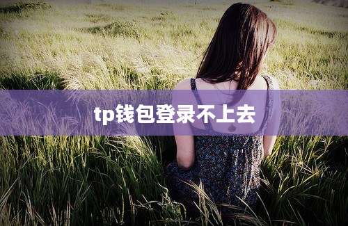tp钱包登录不上去