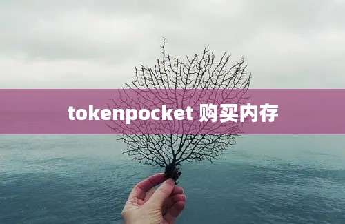 tokenpocket 购买内存