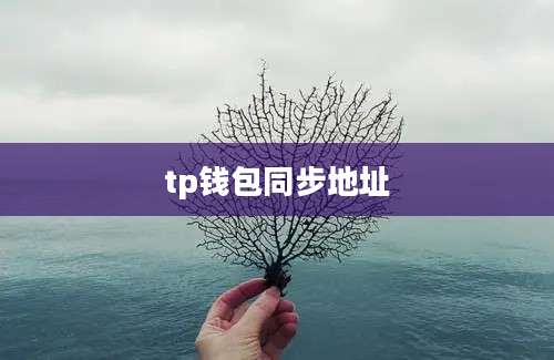 tp钱包同步地址