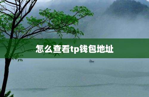 怎么查看tp钱包地址