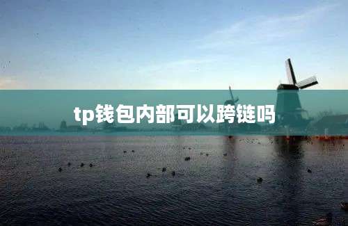 tp钱包内部可以跨链吗