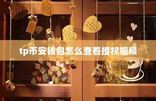 tp币安钱包怎么查看授权视频