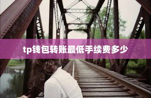 tp钱包转账最低手续费多少