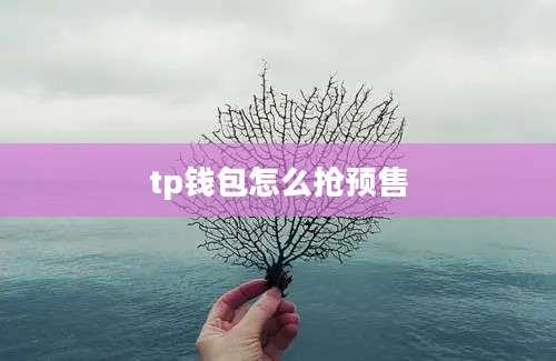 tp钱包怎么抢预售