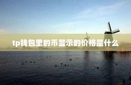 tp钱包里的币显示的价格是什么