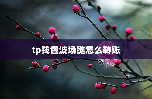 tp钱包波场链怎么转账