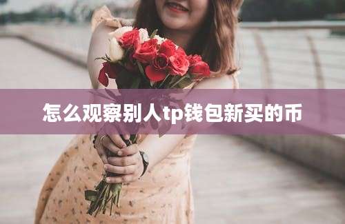 怎么观察别人tp钱包新买的币