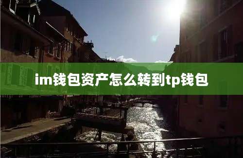 im钱包资产怎么转到tp钱包