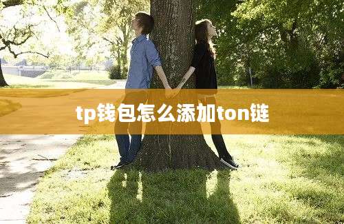 tp钱包怎么添加ton链
