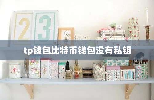tp钱包比特币钱包没有私钥