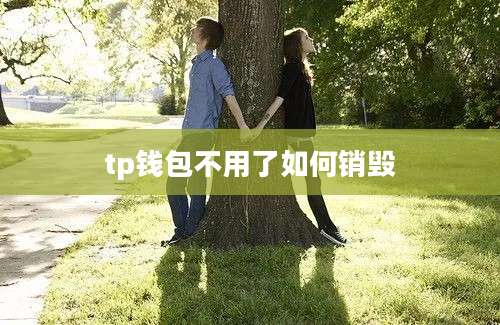 tp钱包不用了如何销毁