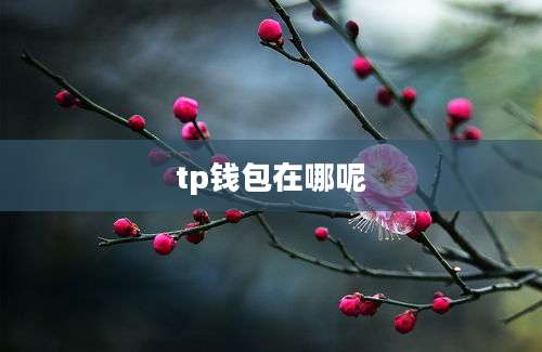 tp钱包在哪呢