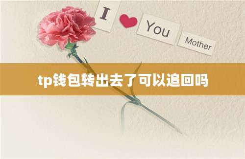 tp钱包转出去了可以追回吗