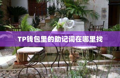 TP钱包里的助记词在哪里找