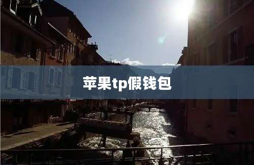 苹果tp假钱包